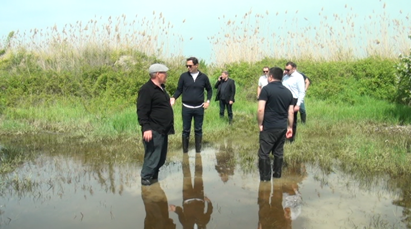 Aqrar Sığorta Fondunun rəhbərliyi zərər dəymiş təsərrüfatlarda olub - FOTOLAR